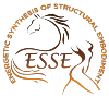 energetic synthesis of structural embodiment logo sm.png